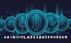 全面了解BVS钱包：数字货币存储与管理的理想选