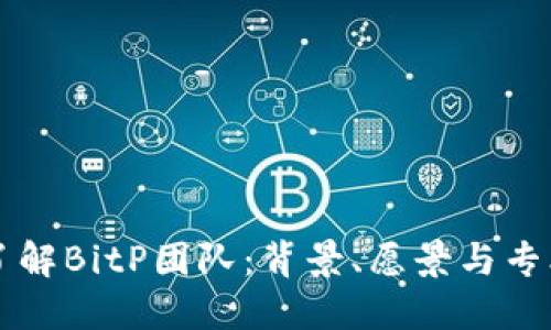 深入了解BitP团队：背景、愿景与专业能力