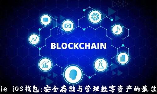 
Bitpie iOS钱包：安全存储与管理数字资产的最佳选择