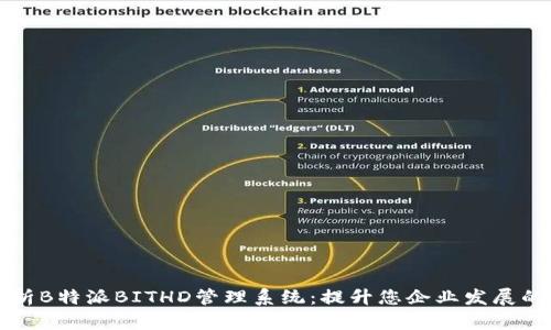 全面解析B特派BITHD管理系统：提升您企业发展的新利器