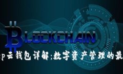 Bitkeep云钱包详解：数字资产管理的最佳选择