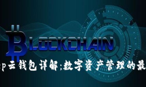 Bitkeep云钱包详解：数字资产管理的最佳选择