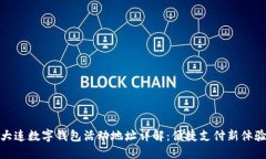 大连数字钱包活动地址详解：便捷支付新体验