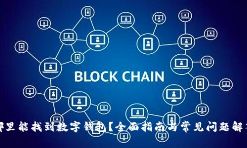 哪里能找到数字钱包？全面指南与常见问题解答