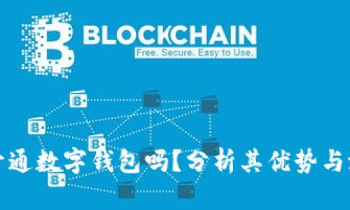 有必要开通数字钱包吗？分析其优势与潜在风险