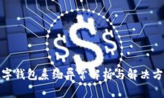 数字钱包系统异常解析与解决方案