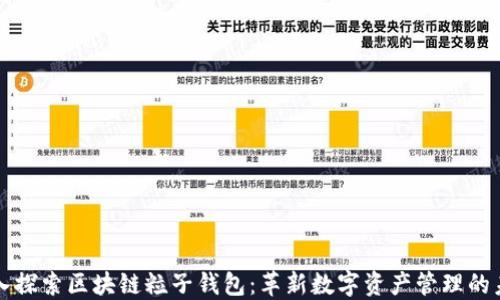 
深入探索区块链粒子钱包：革新数字资产管理的未来