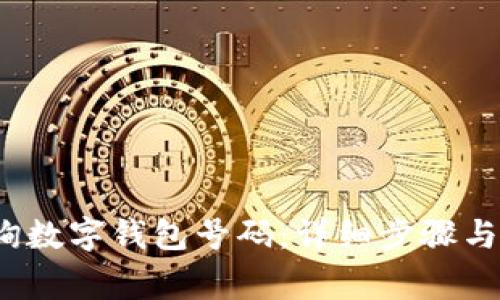  如何查询数字钱包号码：详细步骤与注意事项