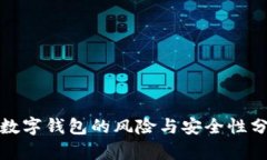 假数字钱包的风险与安全性分析