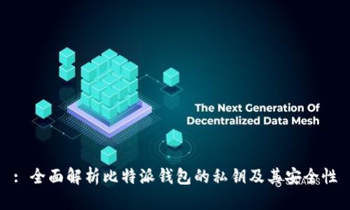 : 全面解析比特派钱包的私钥及其安全性