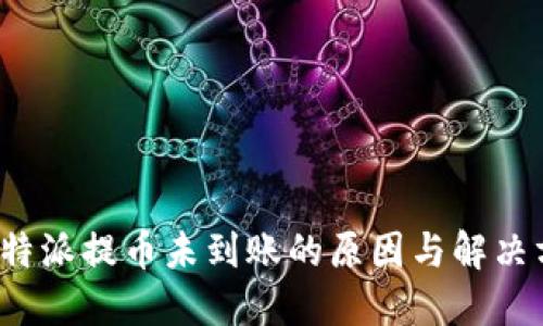  比特派提币未到账的原因与解决方案