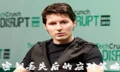 比特派钱包密钥丢失后的应对策略与解决方案