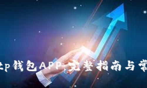 如何下载Bitp钱包APP：完整指南与常见问题解答