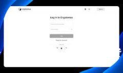 比特派跑路内幕：投资者应对策略与资产保护指