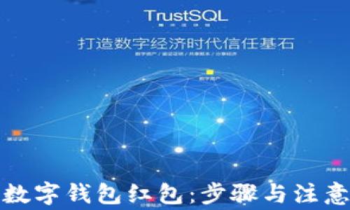 
如何申请数字钱包红包：步骤与注意事项详解