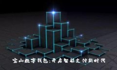 宝山数字钱包：开启智能支付新时代