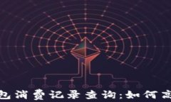 全面解析数字钱包消费记录查询：如何高效管理