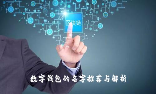 数字钱包的名字推荐与解析