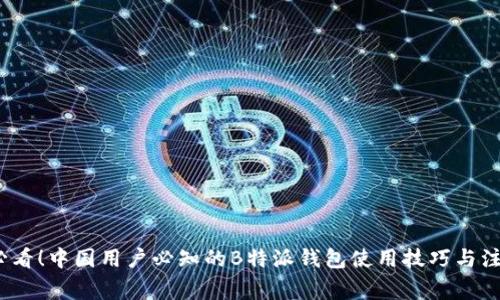2025必看！中国用户必知的B特派钱包使用技巧与注意事项