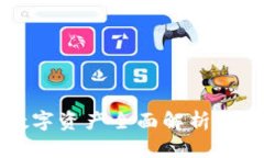 2025必看：波点钱包数字资产全面解析，立即掌握