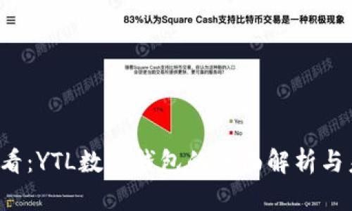 2025必看：YTL数字钱包的全面解析与未来展望