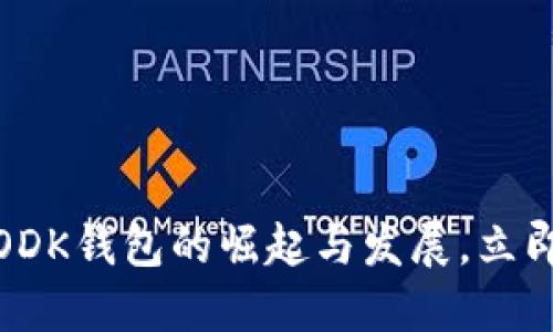 2025必看：区块链ODK钱包的崛起与发展，立即了解它的未来潜力