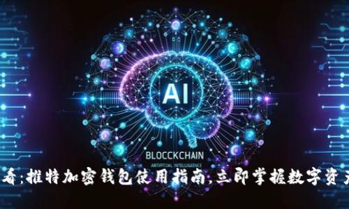 2025年必看：推特加密钱包使用指南，立即掌握数字资产管理技巧