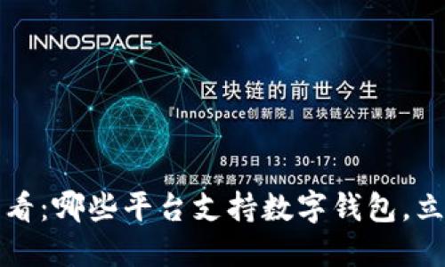 2025必看：哪些平台支持数字钱包，立即了解！