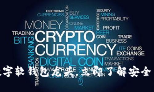 2025必看：数字软钱包龙头，立即了解安全与便利的未来