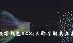 2025必看！数字钱包BCX：立即了解其未来发展与应