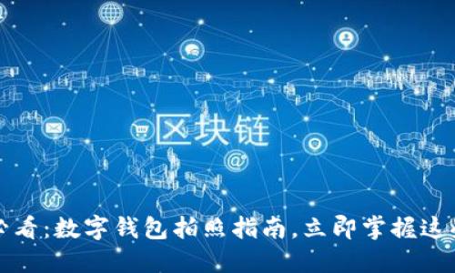 2025必看：数字钱包拍照指南，立即掌握这些技巧！