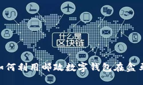 2025必看：如何利用邮政数字钱包在盒马购物更便捷