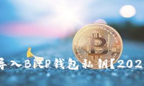 如何立即导入BitP钱包私钥？2025必看指南