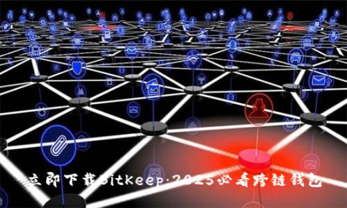立即下载BitKeep：2025必看跨链钱包