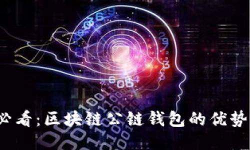 2025必看：区块链公链钱包的优势与挑战