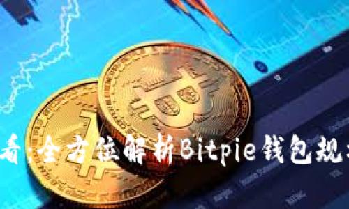 2025必看：全方位解析Bitpie钱包规格与功能