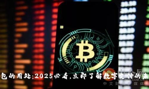 数字钱包的用处：2025必看，立即了解数字支付的未来趋势