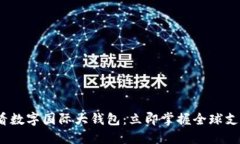 2025必看数字国际大钱包：立即掌握全球支付新时