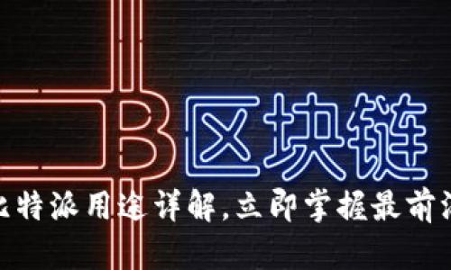 2025必看！比特派用途详解，立即掌握最前沿的加密技术