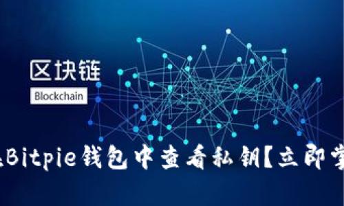 2025必看：如何在Bitpie钱包中查看私钥？立即掌握安全管理技巧！
