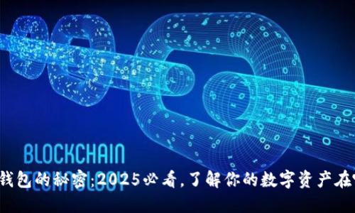 数字钱包的秘密：2025必看，了解你的数字资产在哪里！