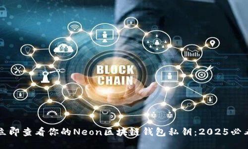 如何立即查看你的Neon区块链钱包私钥：2025必看指南