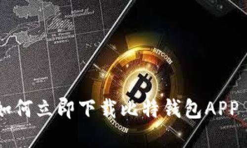 2025必看：如何立即下载比特钱包APP - 官方指南