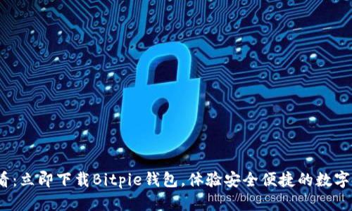 2025必看：立即下载Bitpie钱包，体验安全便捷的数字资产管理