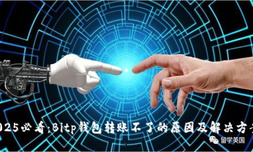 2025必看：Bitp钱包转账不了的原因及解决方案！