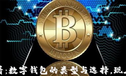 
2025必看：数字钱包的类型与选择，现在就了解！