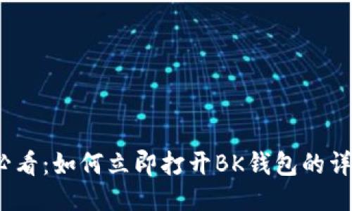 2025必看：如何立即打开BK钱包的详细教程