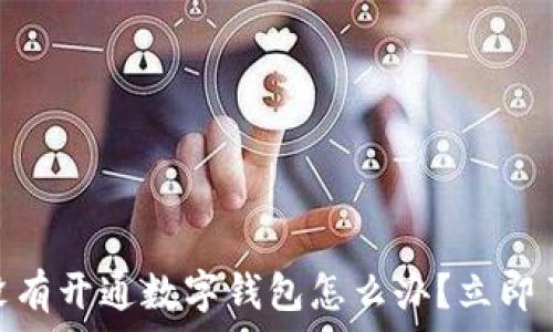   
2025必看！没有开通数字钱包怎么办？立即了解解决方案