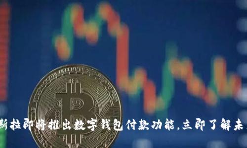 2025必看：特斯拉即将推出数字钱包付款功能，立即了解未来支付的趋势！