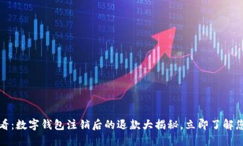 2025必看：数字钱包注销后的退款大揭秘，立即了解您的权益！